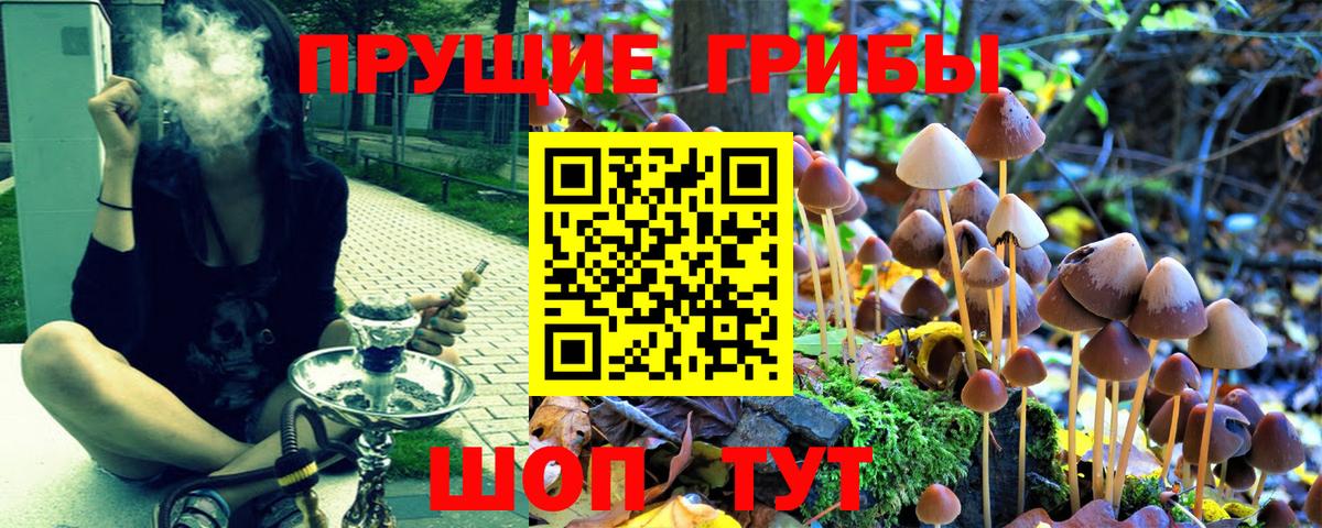Псилоцибиновые грибы Cubensis  Галлюциногенные грибы Cubensis  Вход с VPN  Муром 